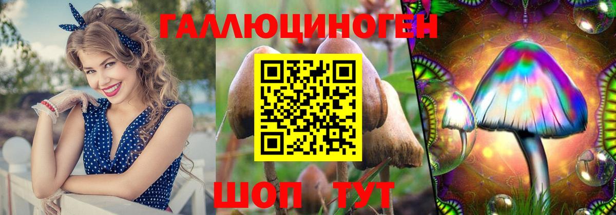 Галлюциногенные грибы мухоморы Апатиты