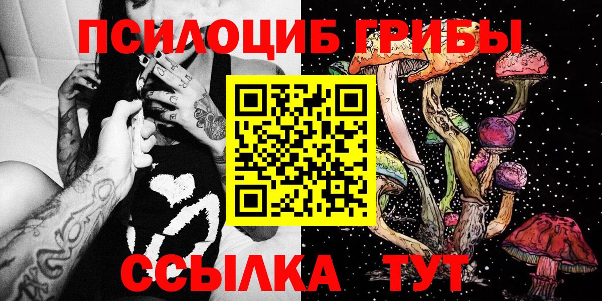 Апатиты  Галлюциногенные грибы Psilocybe  Вход с VPN 